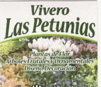 Fotos de Vivero * Las Petunias *