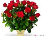 Fotos de 25Flores.com
