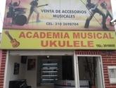 Fotos de Academia Musical Ukulele