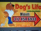 Fotos de Adiestramiento Y Guarderia Canina Dog´s Life