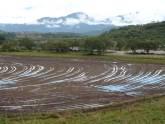 Fotos de Agronivel Tecnología Láser Para El Campo