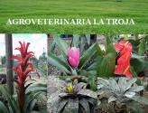 Fotos de Agroveterinaria La Troja S.a.s
