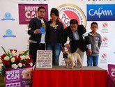 Fotos de Alkaedabulldog
