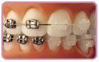 Fotos de Almacen Coldental S.a.s