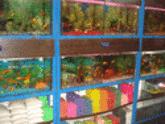 Fotos de Almacen De Alonso Quintero