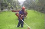 Fotos de Am Soluciones Integrales