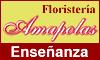 Fotos de Amapolas Floristería