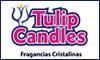 Fotos de Ambientadores Y Velas De Gel Tulipcandles