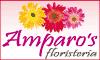 Fotos de Amparo's Floristería