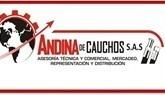 Fotos de Andina De Cauchos
