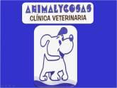 Fotos de Animalycosas Clínica Veterinaria