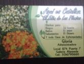 Fotos de Aquí Es Catalina El Eden De Las Plantas