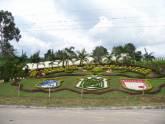 Fotos de Artiplantas
