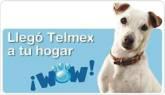 Fotos de Asesor Telmex Javier Paniagua