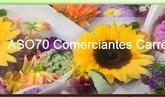 Fotos de Aso70 Comerciantes Carrera 70 Medellín