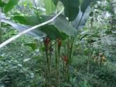 Fotos de Aula Parque Ecologico Icononzo