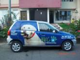 Fotos de Avc Asistencia Veterinaria En Casa