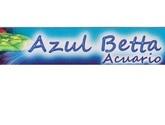 Fotos de Azul Betta Acuario