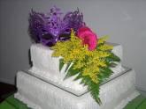 Fotos de Banquetes Portefino