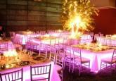 Fotos de Banquetes Y Flores Gotas Del Rocio