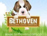 Fotos de Bethoven Veterinaria Y Peluqueria Canina