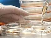 Fotos de Biovitalservices