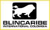 Fotos de Blincaribe International Colombia