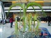 Fotos de Bodas Y Eventos Flowers And Service Exp