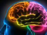 Fotos de Brain Abundance