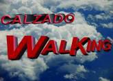 Fotos de Calzado Walking