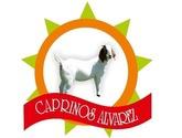 Fotos de Caprinos Alvarez