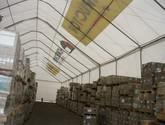 Fotos de Carpas Fenix