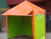 Fotos de Carpas La Reina