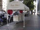 Fotos de Carpas Prix