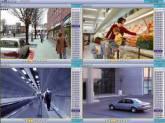 Fotos de Cartuchos Y Toner Del Caquetá
