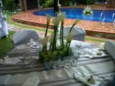 Fotos de Casual Livin
