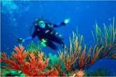 Fotos de Centro De Buceo Aquabuzos