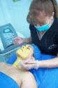Fotos de Centro Integral De Estetica Belleza Forma Y Figura