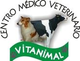 Fotos de Centro Médico Veterinario Vitanimal- Peluqueria Canina