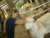Fotos de Centro Tecnico Veterinario El Corcel.