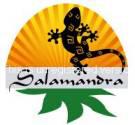 Fotos de Centro Vacacional Salamandra
