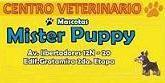 Fotos de Centro Veterinario