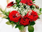 Fotos de Clapidoma Floristeria