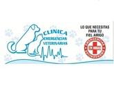 Fotos de Clinica Emergencias Veterinarias 24 Horas