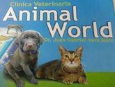 Fotos de Clinica Veterinaria Animal World