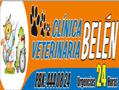 Fotos de Clínica Veterinaria Belén