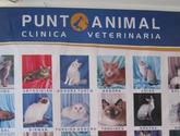 Fotos de Clinica Veterinaria Punto Animal