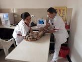 Fotos de Clinica Veterinaria Todovet Ibague