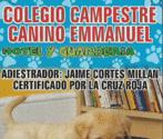 Fotos de Colegio Campestre Canino Emanuel
