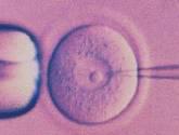 Fotos de Colegio De Inseminacion Artificial
